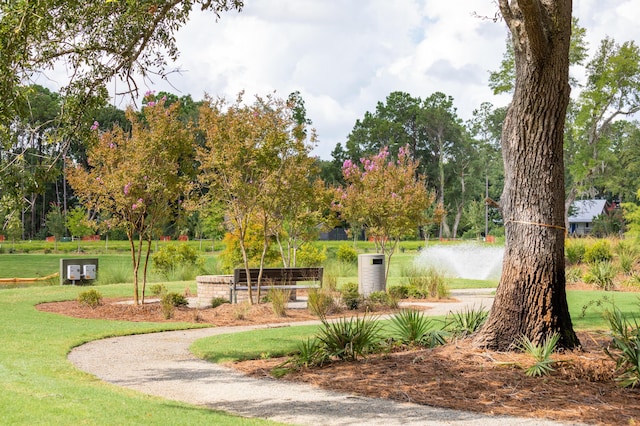 surrounding community featuring a yard