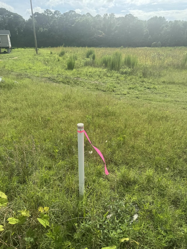 4798 Reggie Rd, Johns Island, SC 29455
