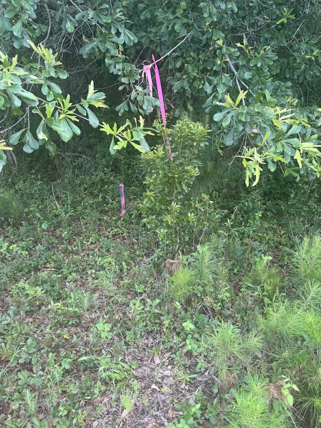4798 Reggie Rd, Johns Island, SC 29455