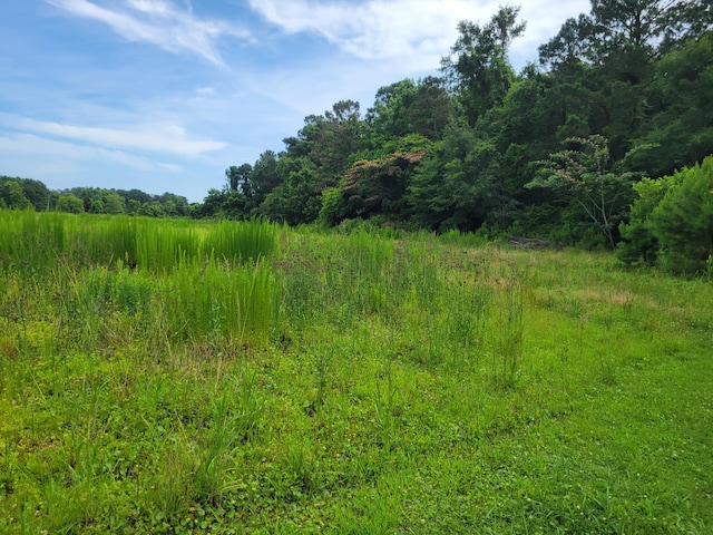 4798 Reggie Rd, Johns Island, SC 29455