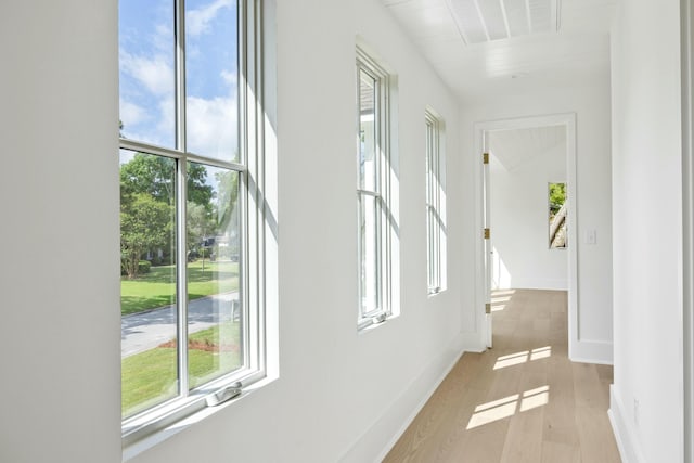 hallway featuring plenty of natural light, light wood finished floors, and a high ceiling