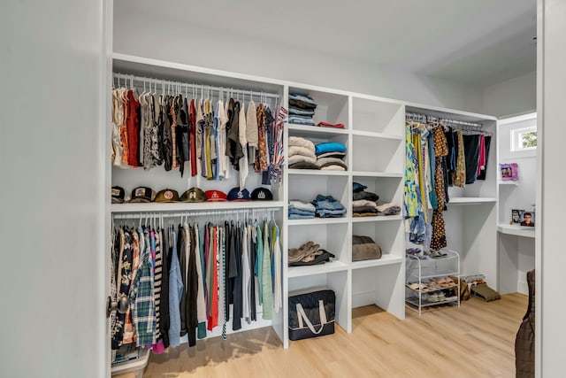 spacious closet with hardwood / wood-style flooring