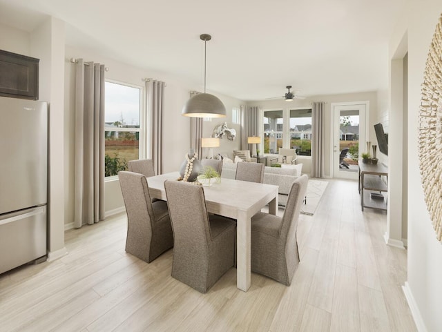 dining area with ceiling fan, a healthy amount of sunlight, and light wood-type flooring