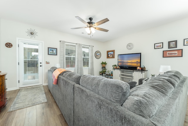 living room featuring a wealth of natural light, ceiling fan, and light wood-type flooring