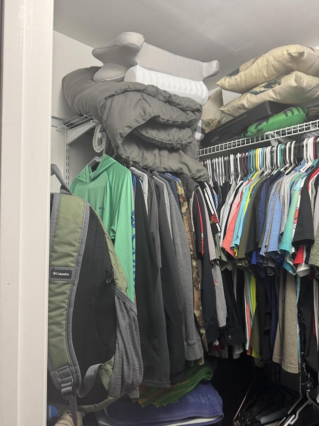 view of walk in closet