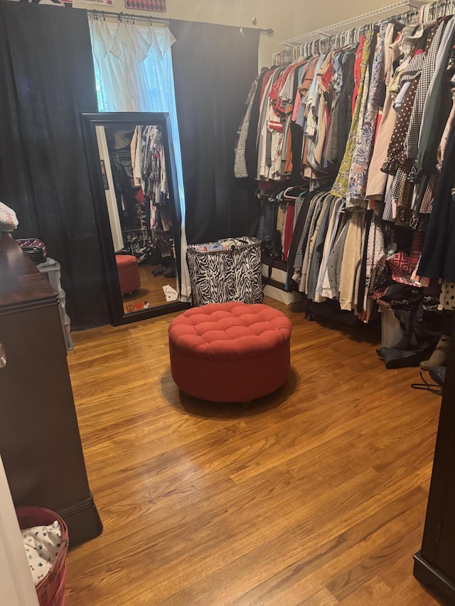 walk in closet featuring wood finished floors