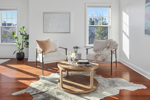 sitting room featuring hardwood / wood-style flooring