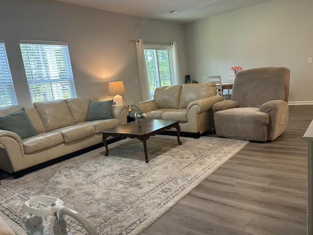 305 Camellia Bloom Dr, Moncks Corner, SC 29461 - living area with wood finished floors