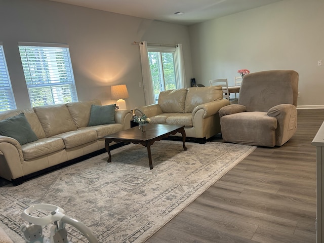 305 Camellia Bloom Dr, Moncks Corner, SC 29461 - living room with wood finished floors and baseboards