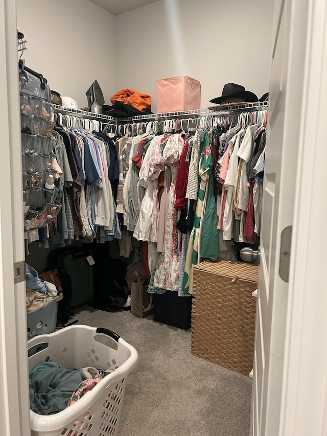 305 Camellia Bloom Dr, Moncks Corner, SC 29461 - walk in closet featuring carpet