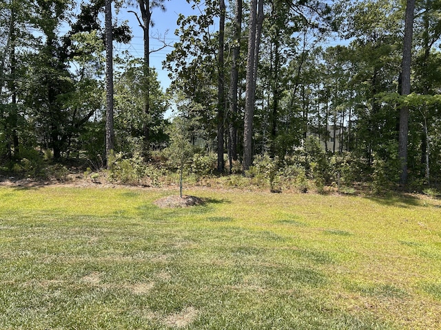 305 Camellia Bloom Dr, Moncks Corner, SC 29461 - view of green lawn