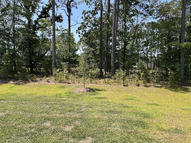 305 Camellia Bloom Dr, Moncks Corner, SC 29461 - view of green lawn