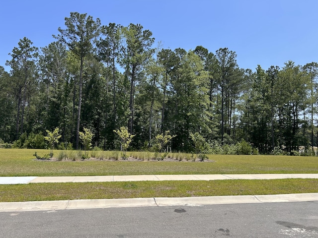 305 Camellia Bloom Dr, Moncks Corner, SC 29461 - view of grassy yard
