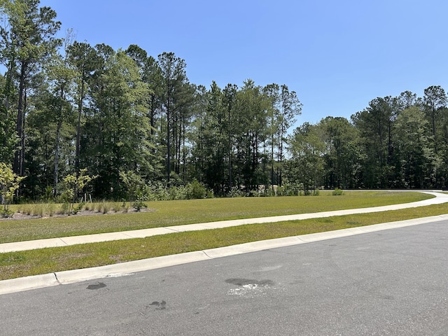 305 Camellia Bloom Dr, Moncks Corner, SC 29461 - view of street with sidewalks