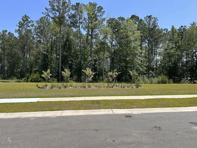 305 Camellia Bloom Dr, Moncks Corner, SC 29461 - view of street with sidewalks