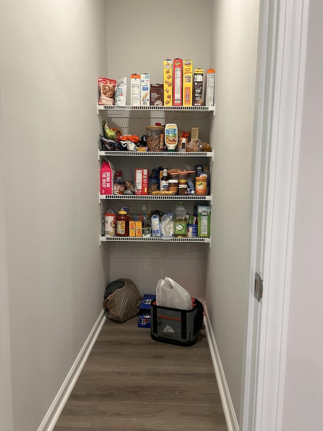 305 Camellia Bloom Dr, Moncks Corner, SC 29461 - view of pantry