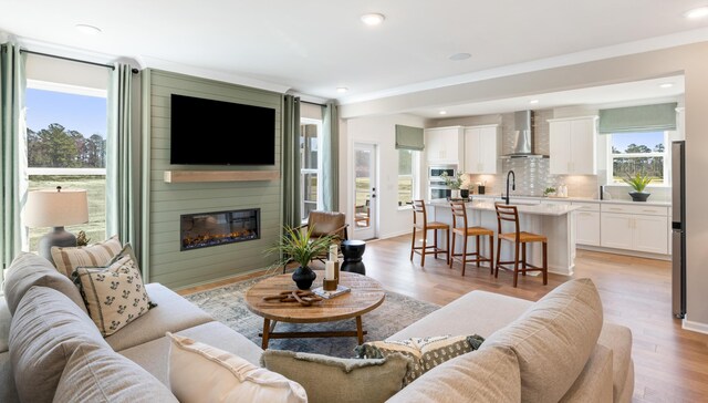 living room featuring light hardwood / wood-style flooring, sink, and a fireplace