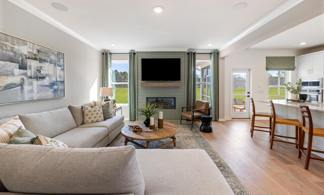 living room featuring light hardwood / wood-style flooring and a large fireplace