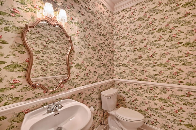 bathroom featuring toilet, ornamental molding, and sink