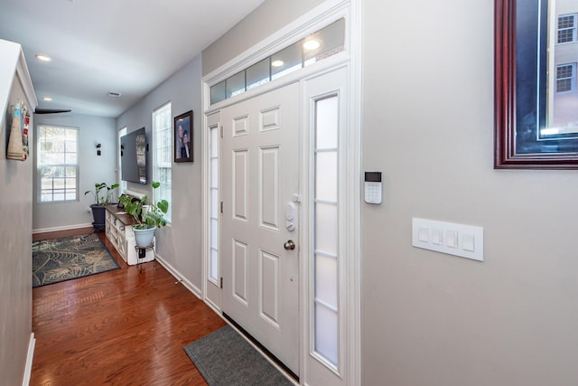 foyer entrance featuring dark wood-type flooring