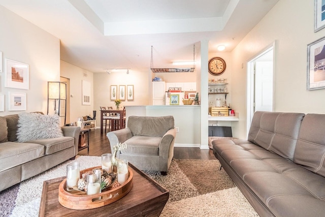 living room featuring wood-type flooring, rail lighting, and a tray ceiling