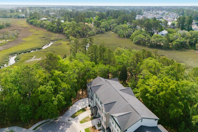 148 Cowrie Ct, Mount Pleasant, SC 29464 - drone / aerial view
