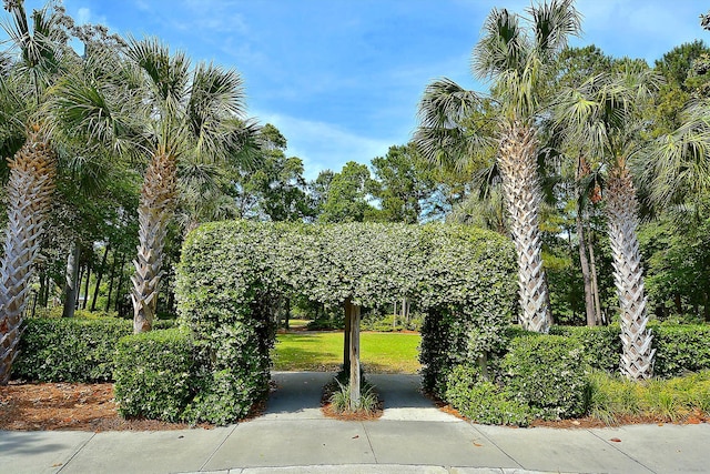 surrounding community featuring a yard