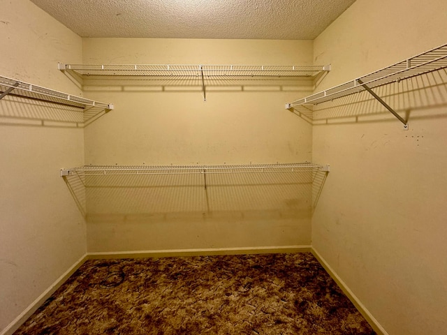 spacious closet featuring carpet floors