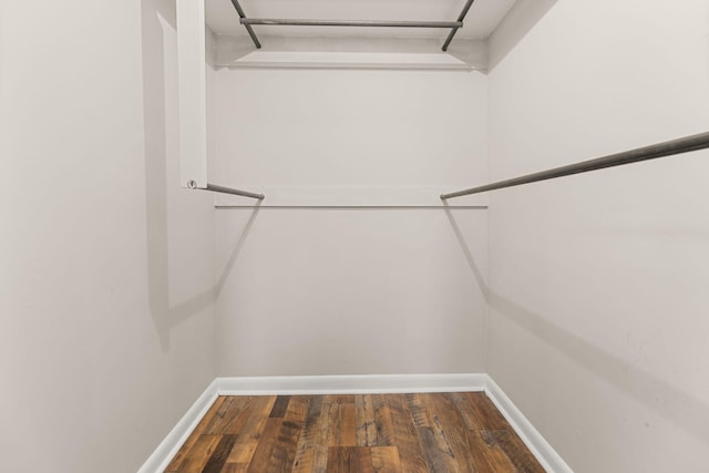 spacious closet featuring dark hardwood / wood-style floors