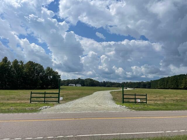 328 Austin Swamp Ln, Ridgeville, SC 29472