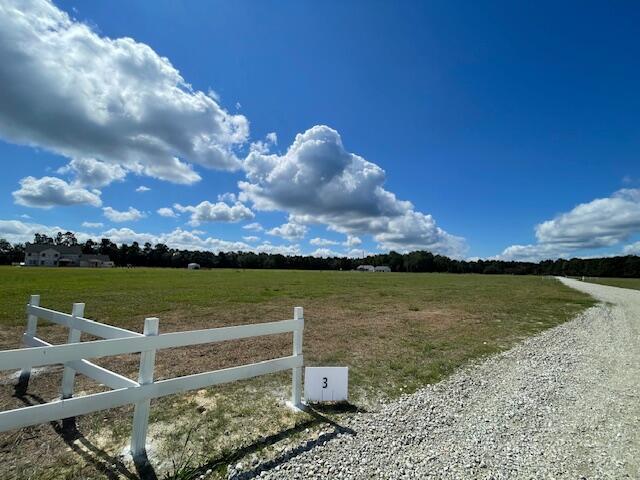 328 Austin Swamp Ln, Ridgeville, SC 29472