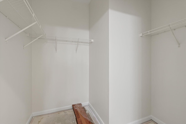 view of spacious closet