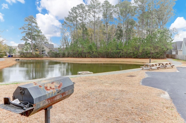 view of water feature