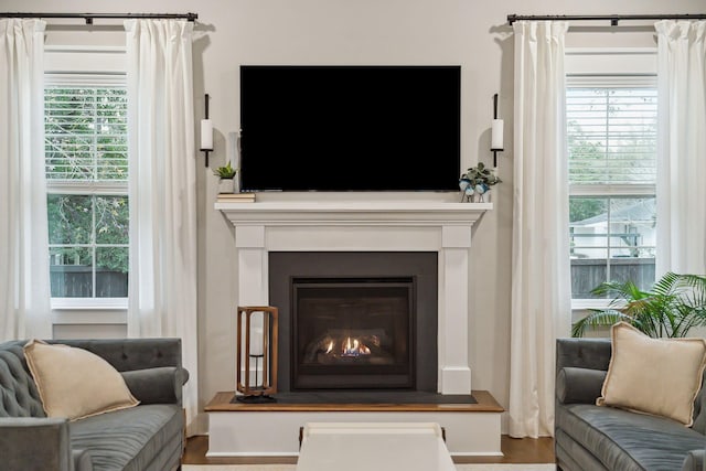 living room featuring hardwood / wood-style floors