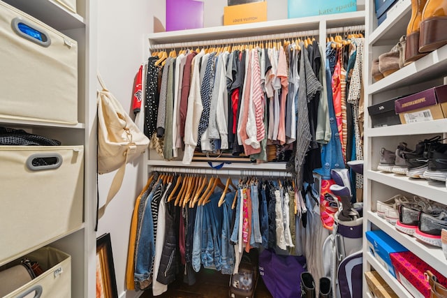 view of spacious closet