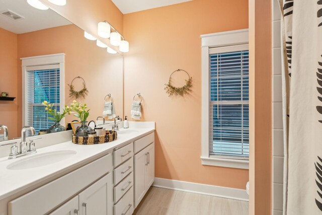 bathroom featuring vanity