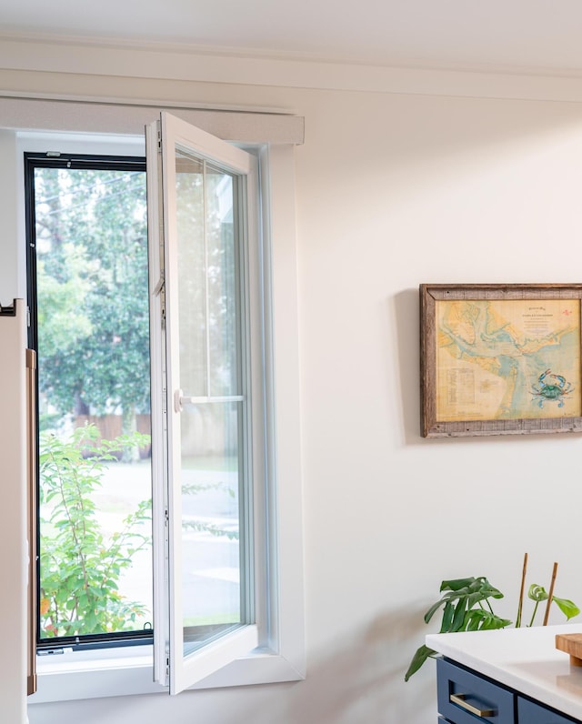 2 Live Oak Ave, Charleston, SC 29407 - entryway featuring a wealth of natural light
