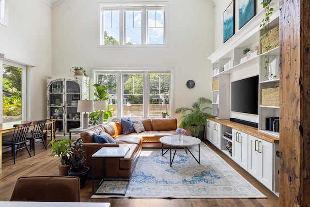 2 Live Oak Ave, Charleston, SC 29407 - living room with a towering ceiling, crown molding, and a healthy amount of sunlight
