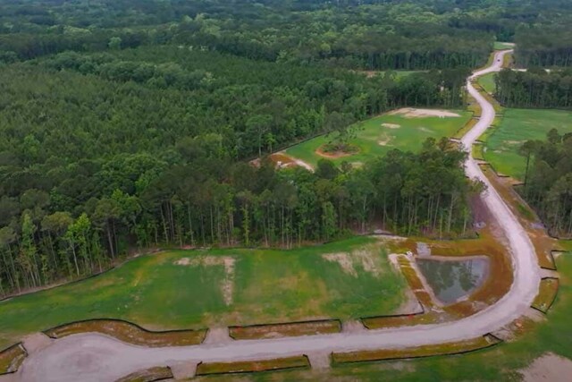 1175 Reserve Ln, Awendaw, SC 29429 - aerial overview of property's location with a heavily wooded area