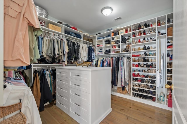 3948 Gift Blvd, Johns Island, SC 29455 - walk in closet with light wood-style floors