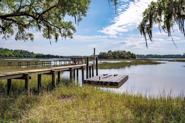 3948 Gift Blvd, Johns Island, SC 29455 - dock with a water view