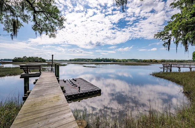 3948 Gift Blvd, Johns Island, SC 29455 - dock with a water view