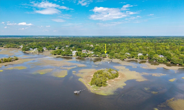 3948 Gift Blvd, Johns Island, SC 29455 - bird's eye view of a forest and a nearby body of water