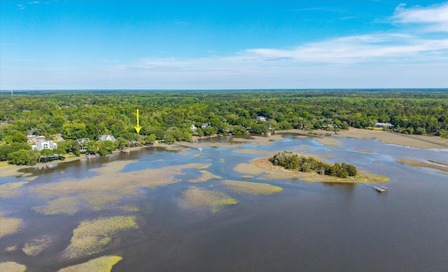 3948 Gift Blvd, Johns Island, SC 29455 - bird's eye view of a heavily wooded area and a nearby body of water