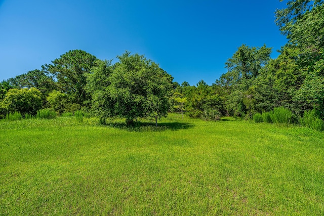 983 Seaside Ln, Edisto Island, SC 29438