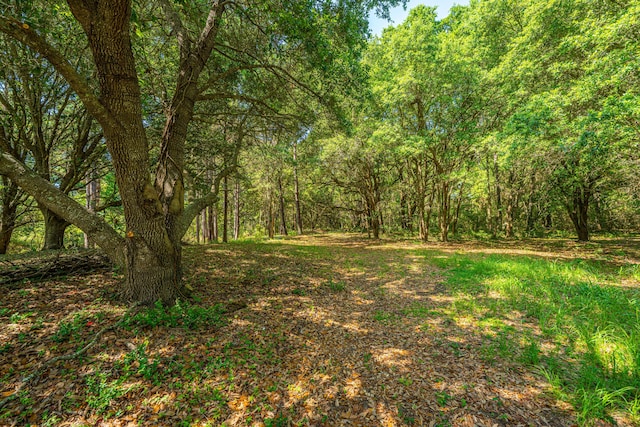 983 Seaside Ln, Edisto Island, SC 29438