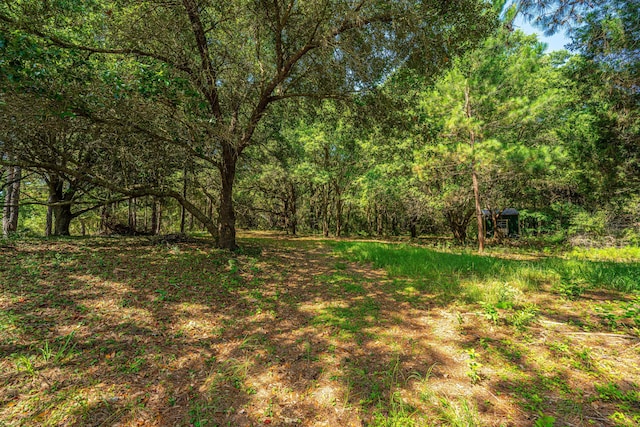 983 Seaside Ln, Edisto Island, SC 29438