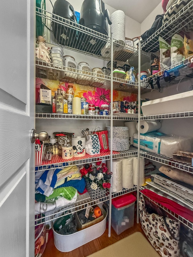 view of pantry