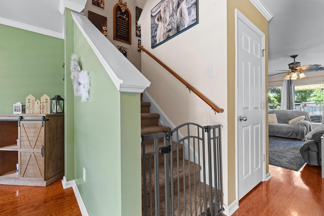 stairway with wood finished floors, crown molding, a ceiling fan, and baseboards