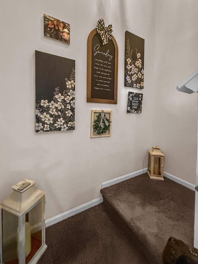 detailed view of carpet flooring and baseboards